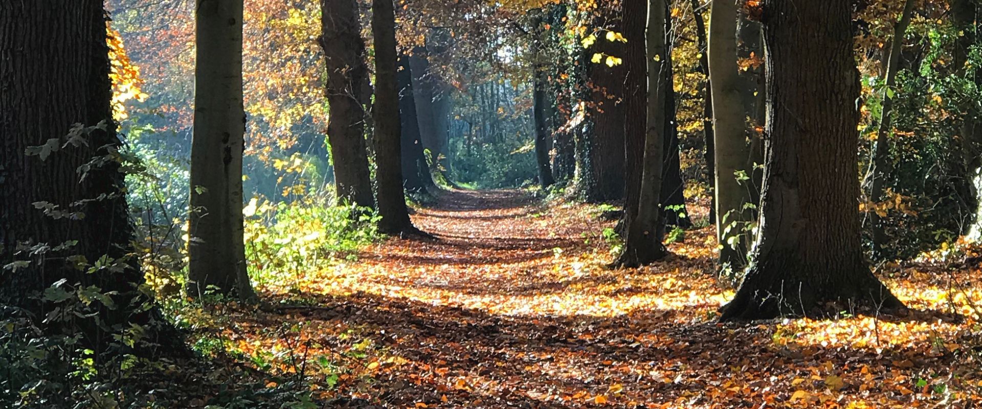 Haaren (Noord-Brabant)