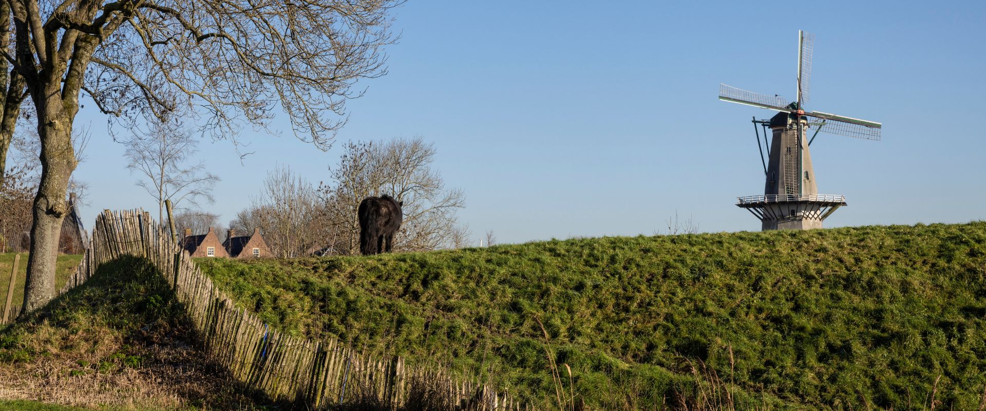 Haren (Noord-Brabant)