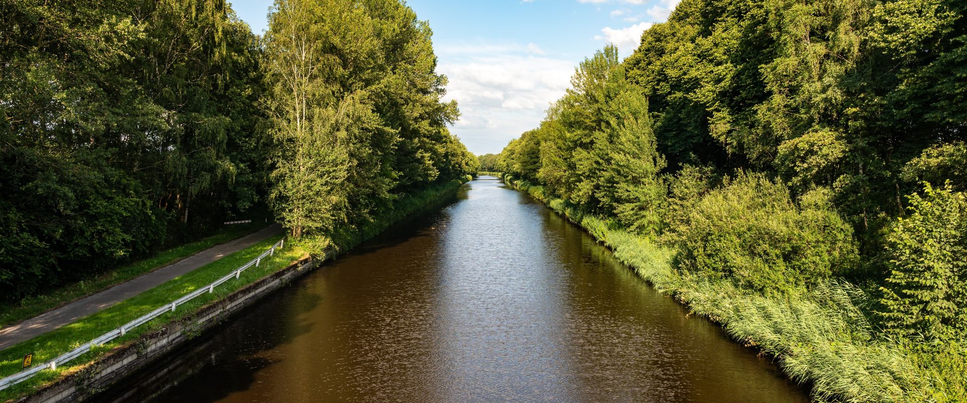 Lieshout