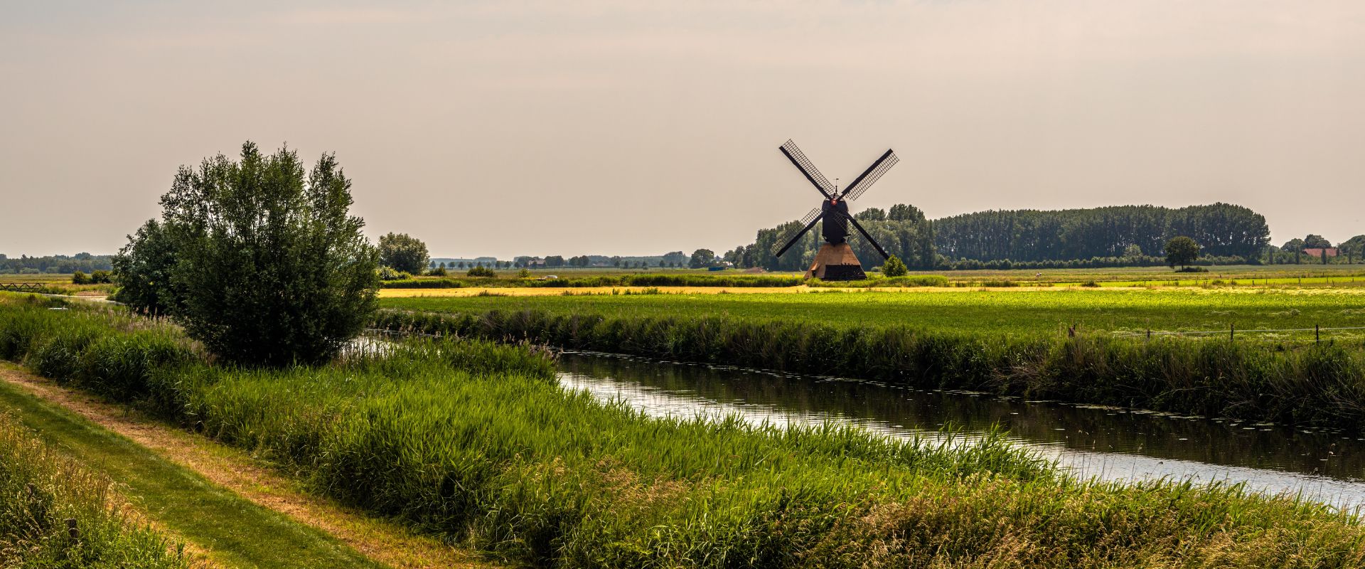 Mill