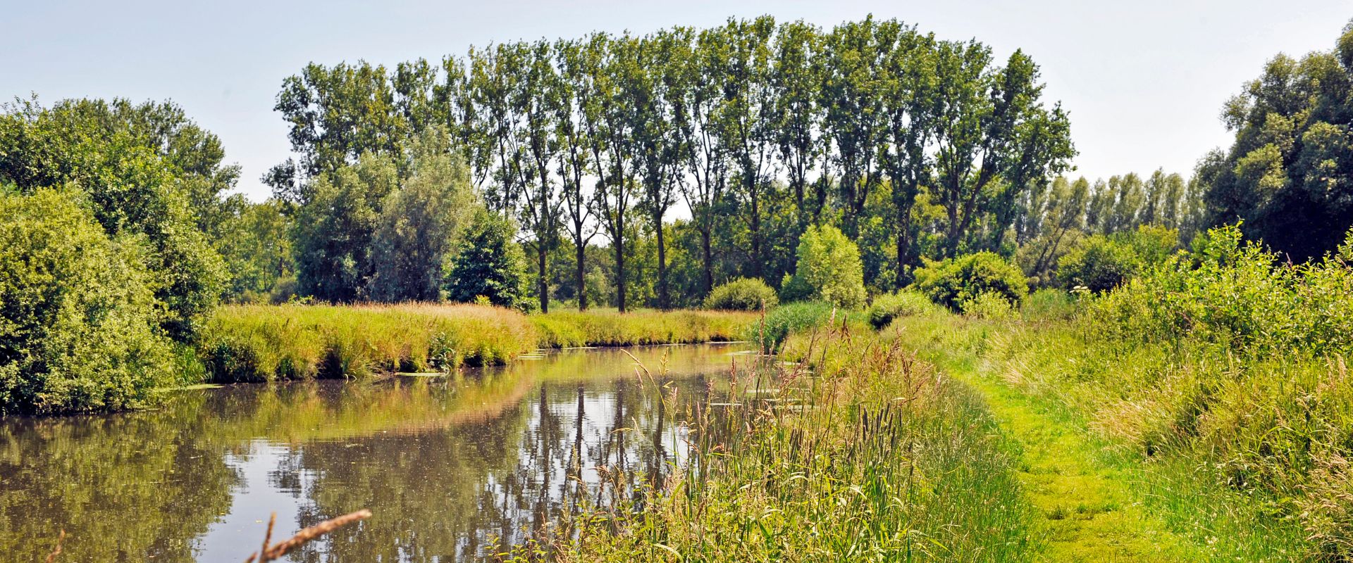 Nederwetten