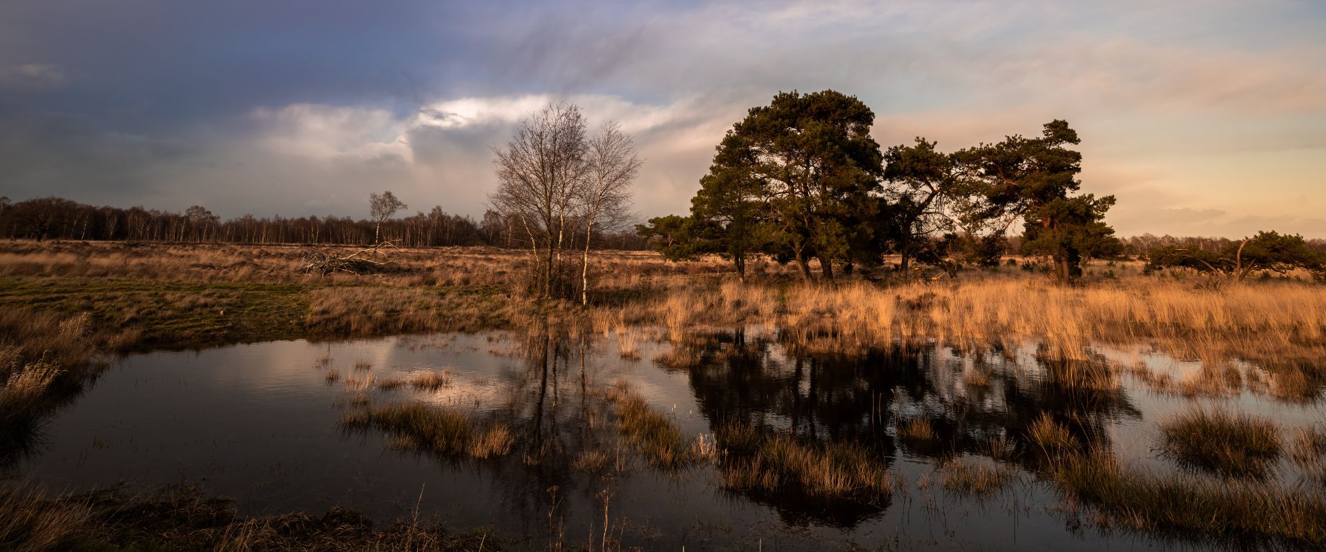 Someren