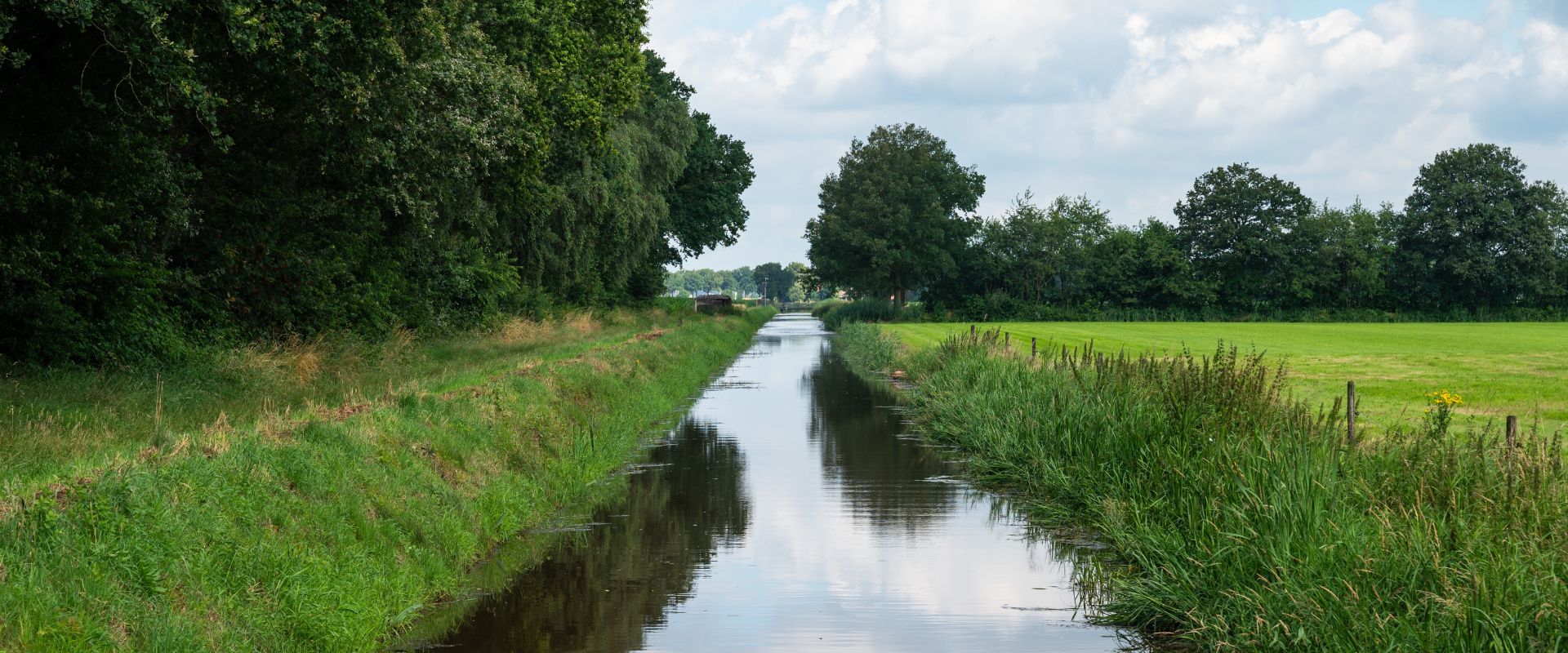 Venhorst