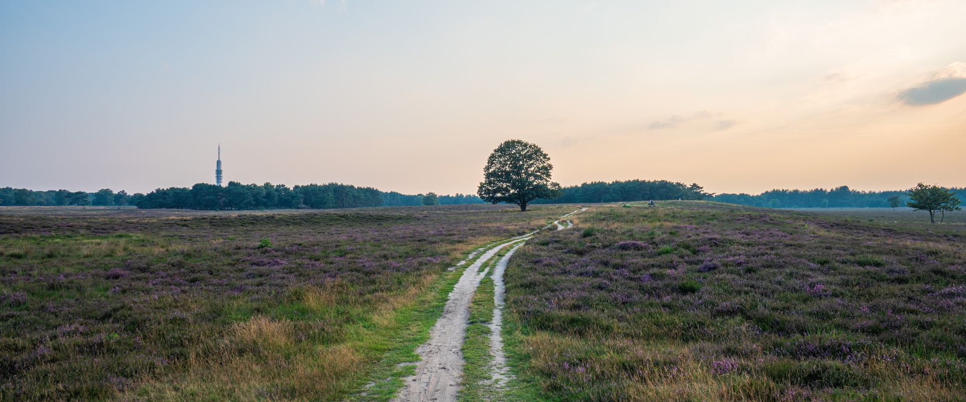 Bussum