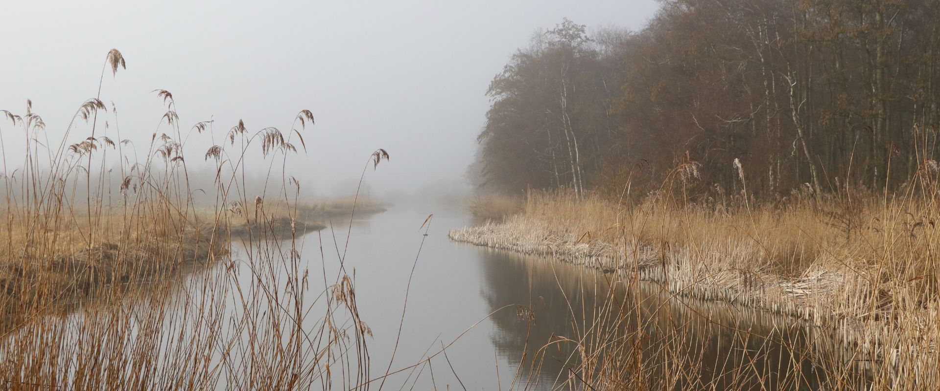 Lutjebroek