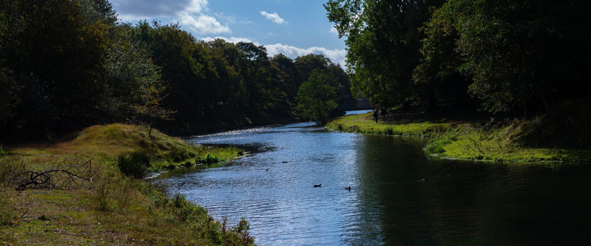 Vogelenzang