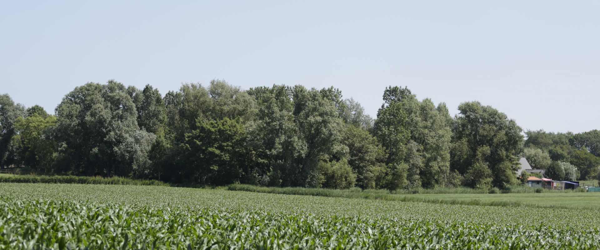 Westerblokker