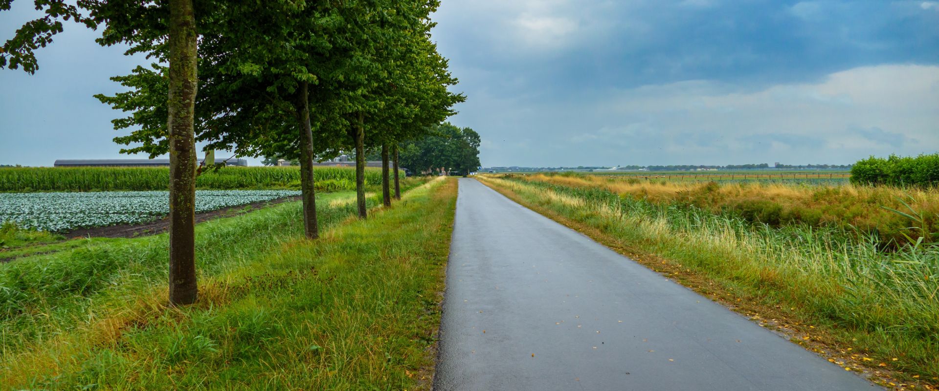 Westwoud