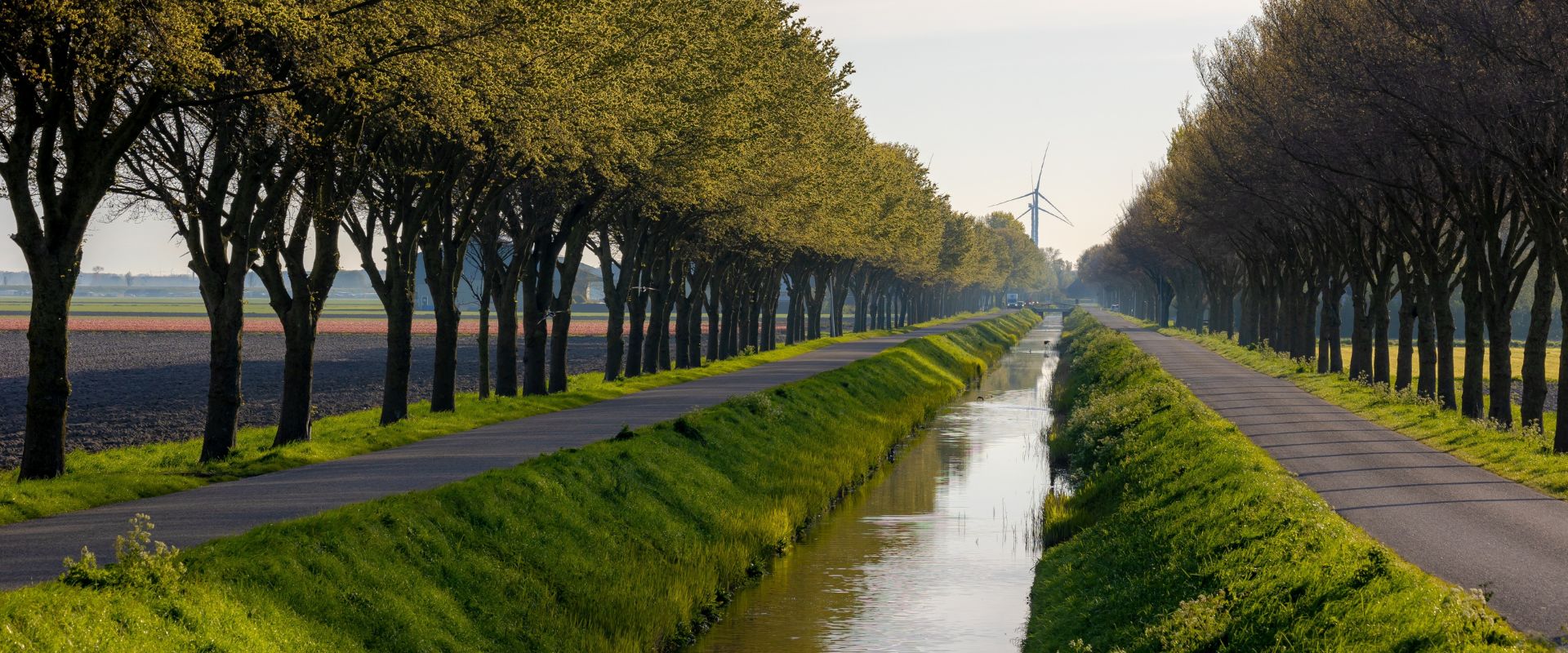 Wieringerwaard