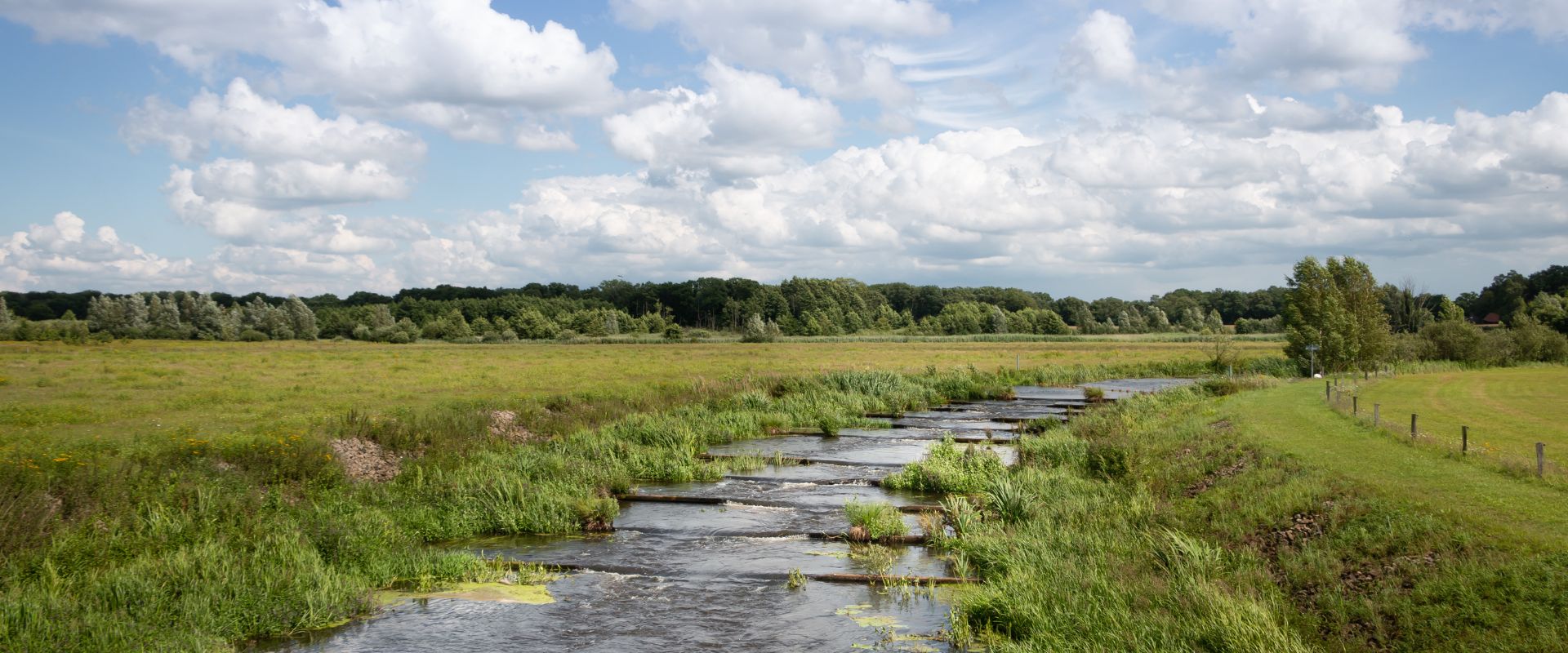 Beerzerveld