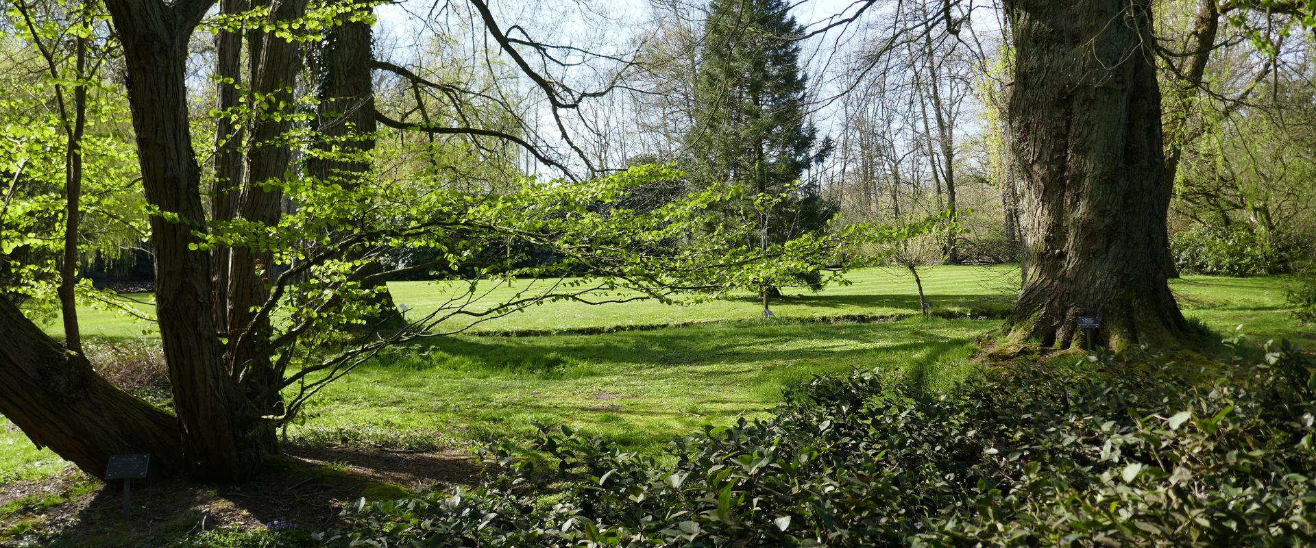 De Lutte