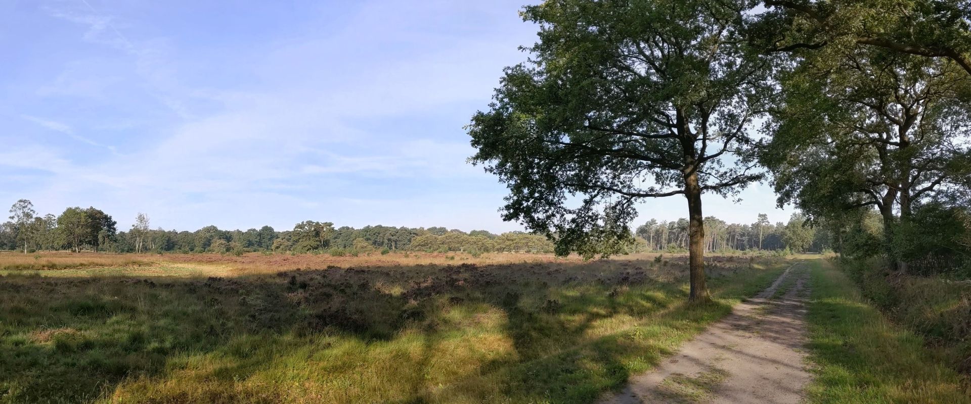 Den Ham (Overijssel)