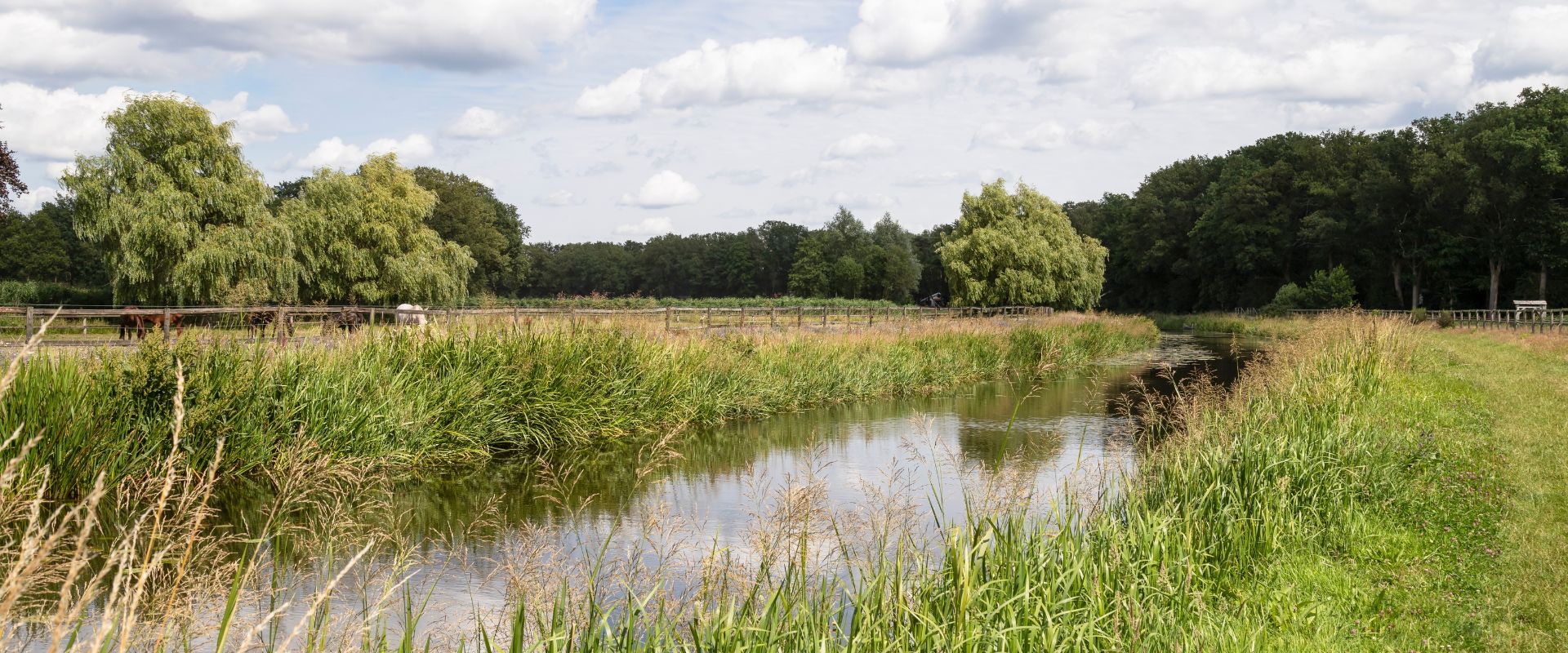 Haaksbergen