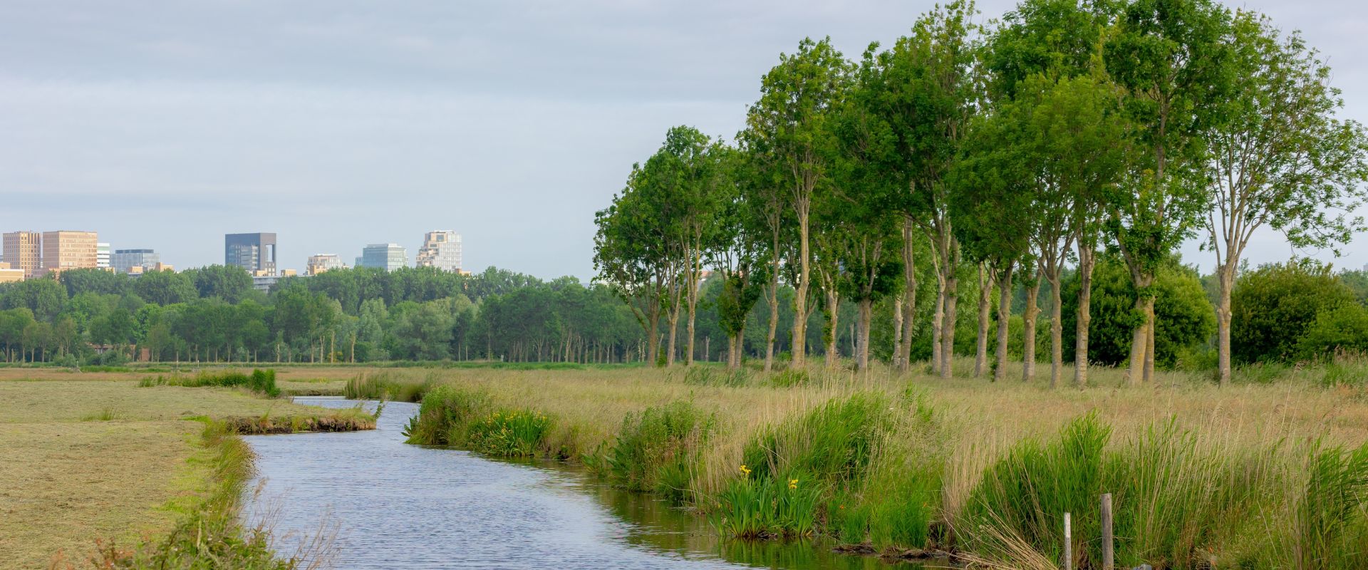 Ouderkerk aan de Amstel