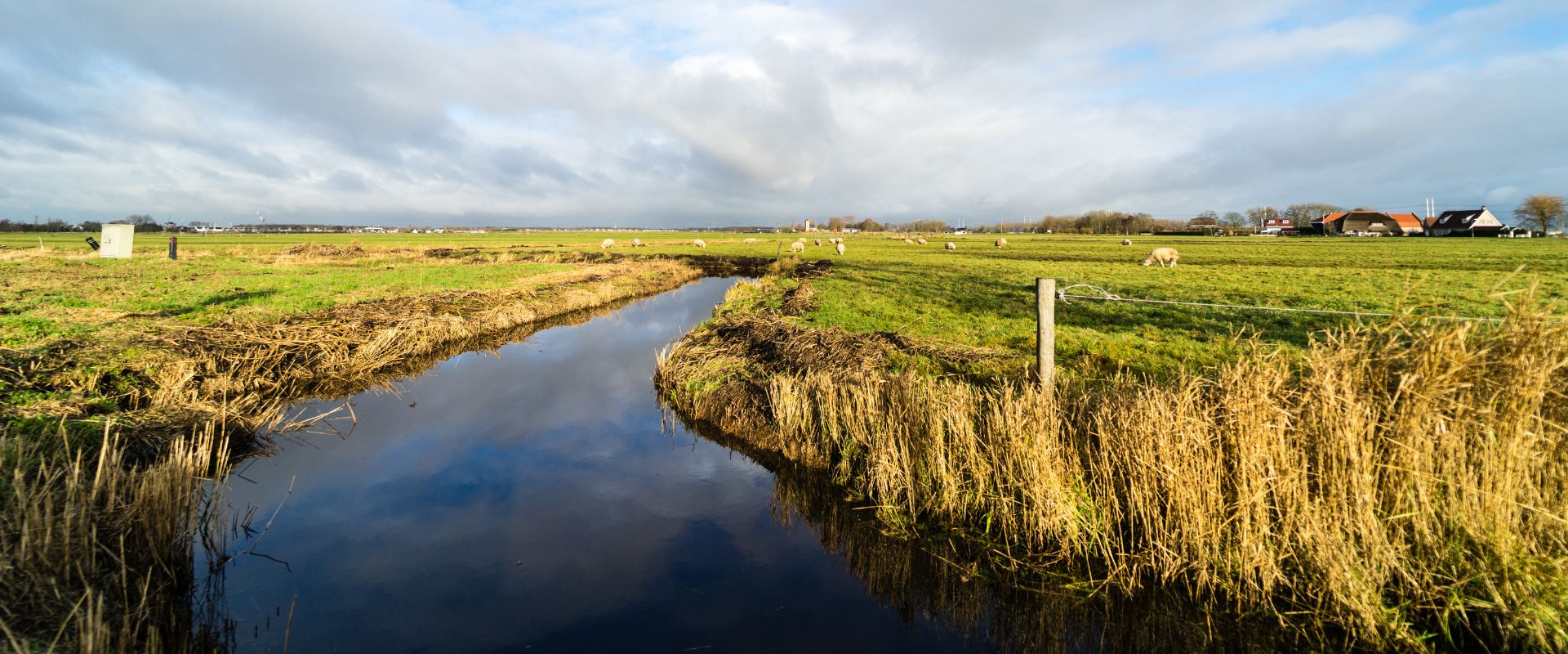 Spaarndam