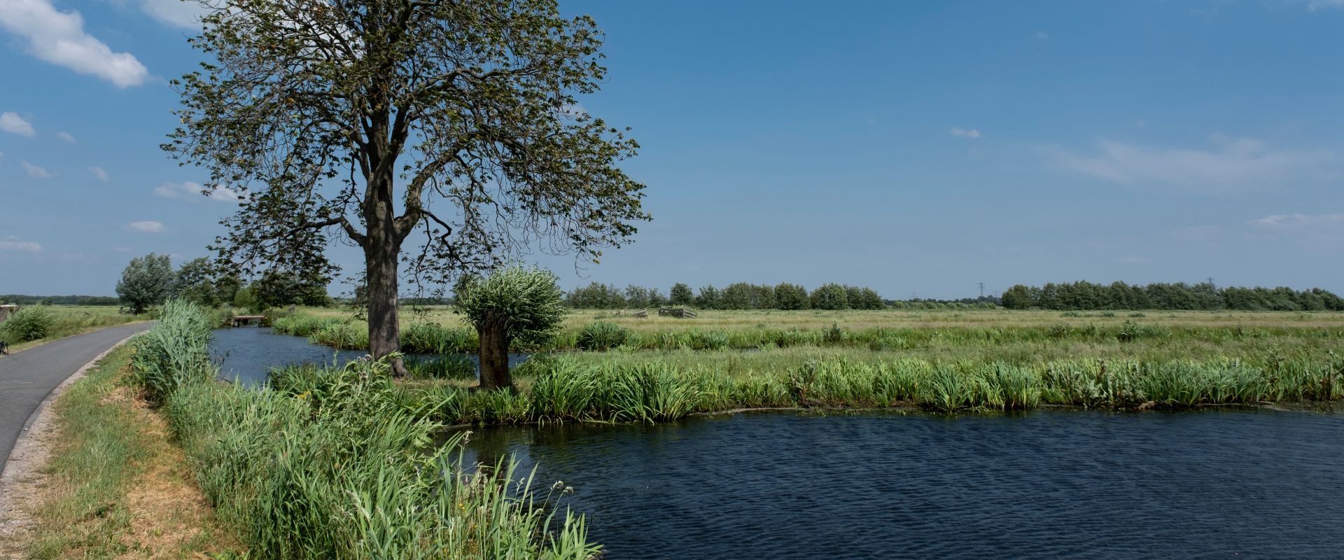 Uitdam