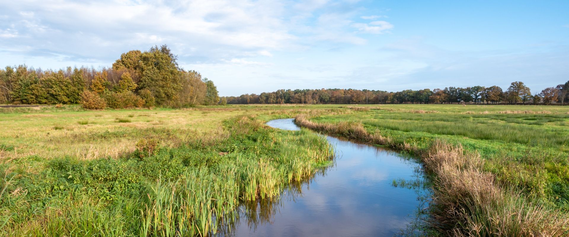 Oud-Avereest