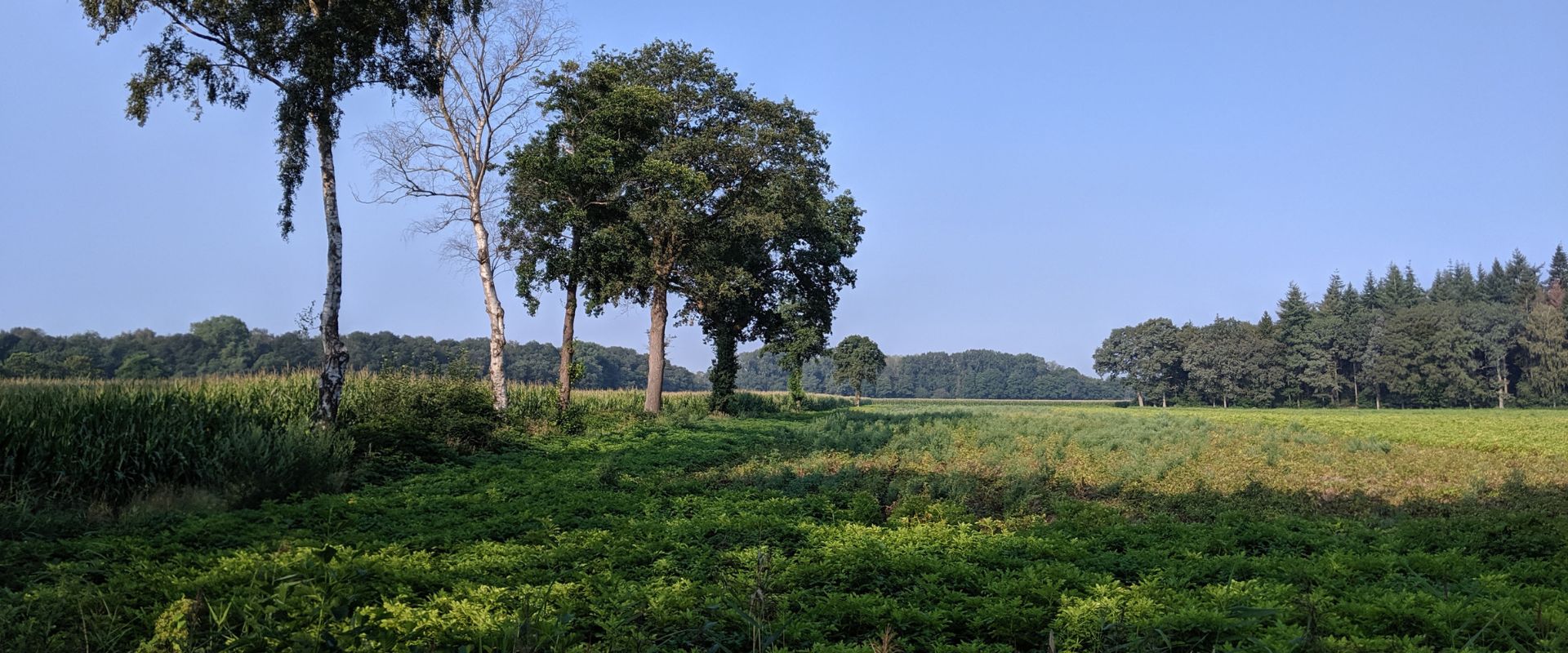 Schalkhaar