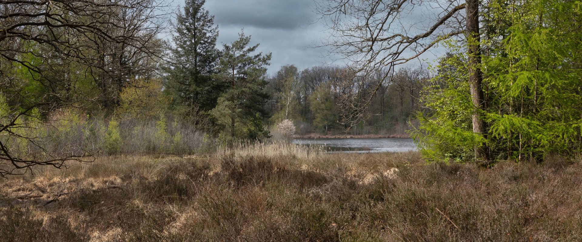 Staphorst
