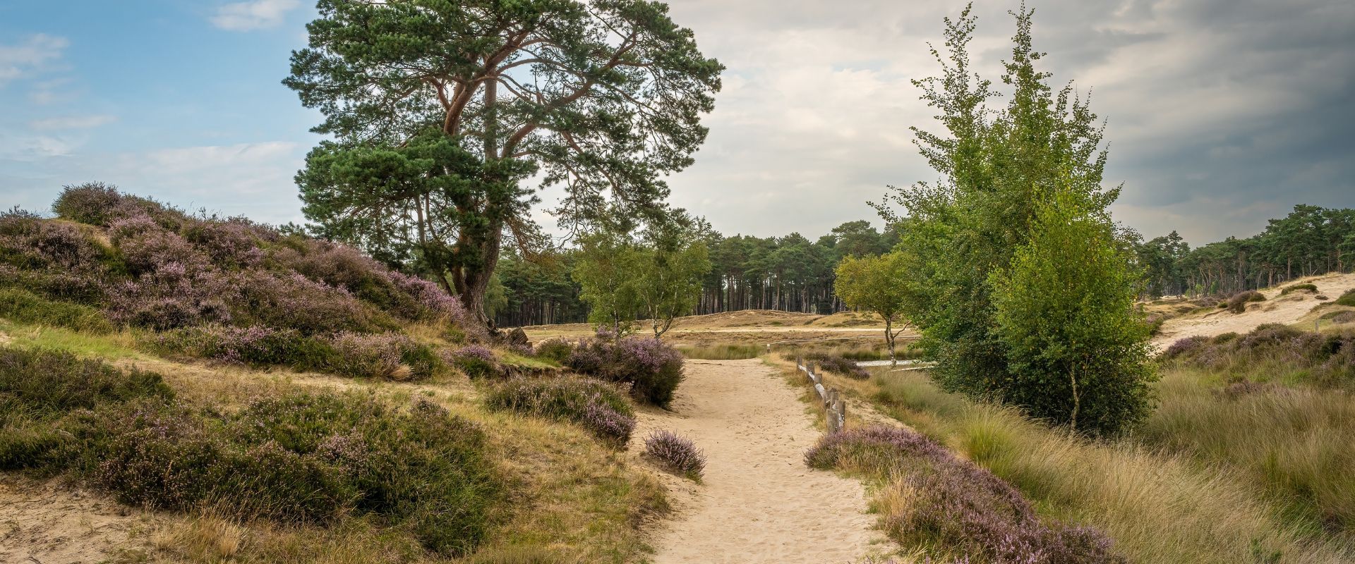Driebergen