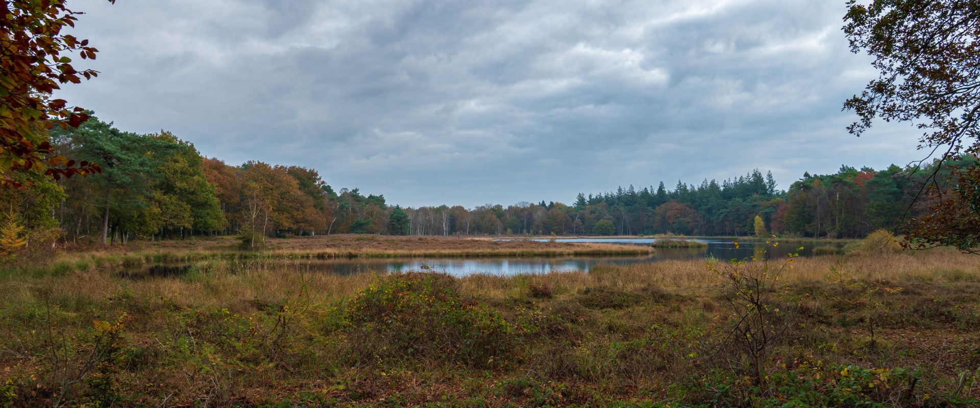 Lage Vuursche