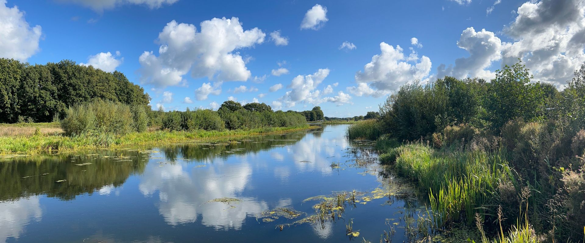 Vilsteren
