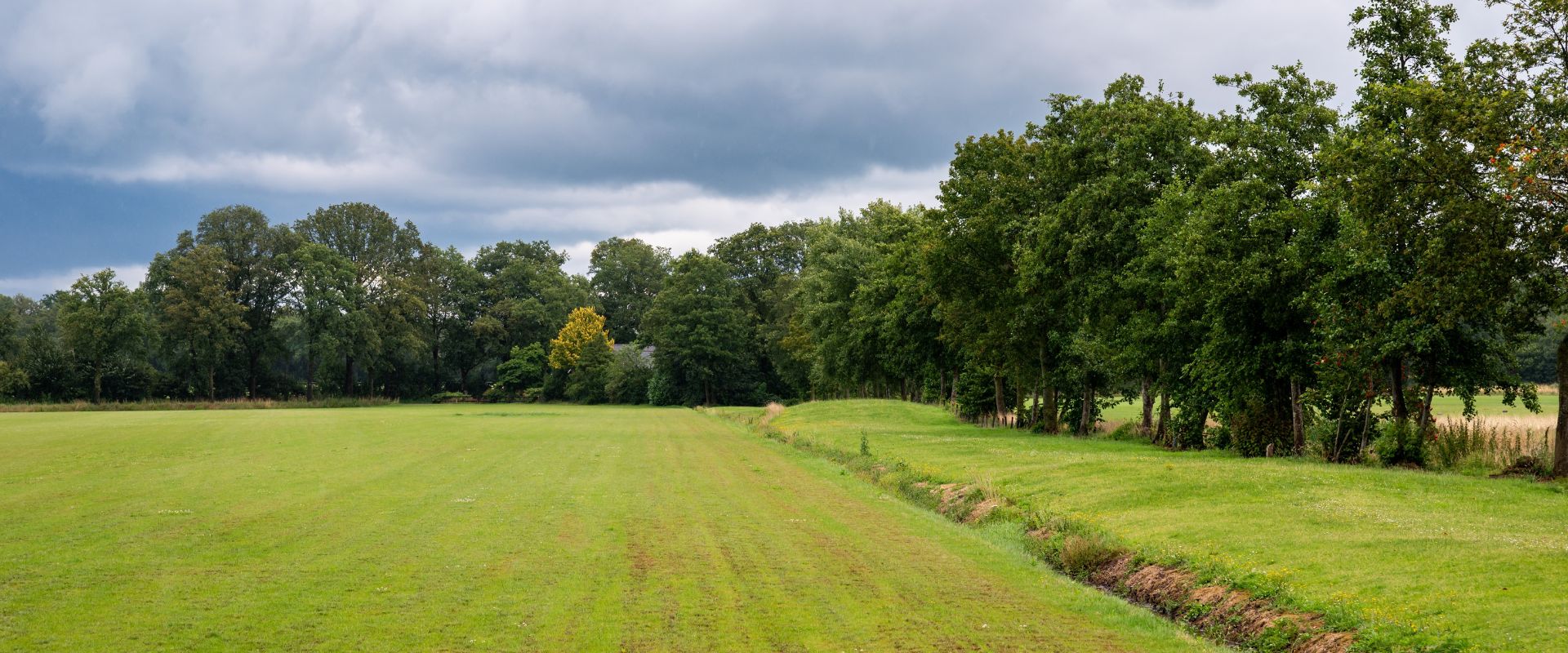 Weerselo