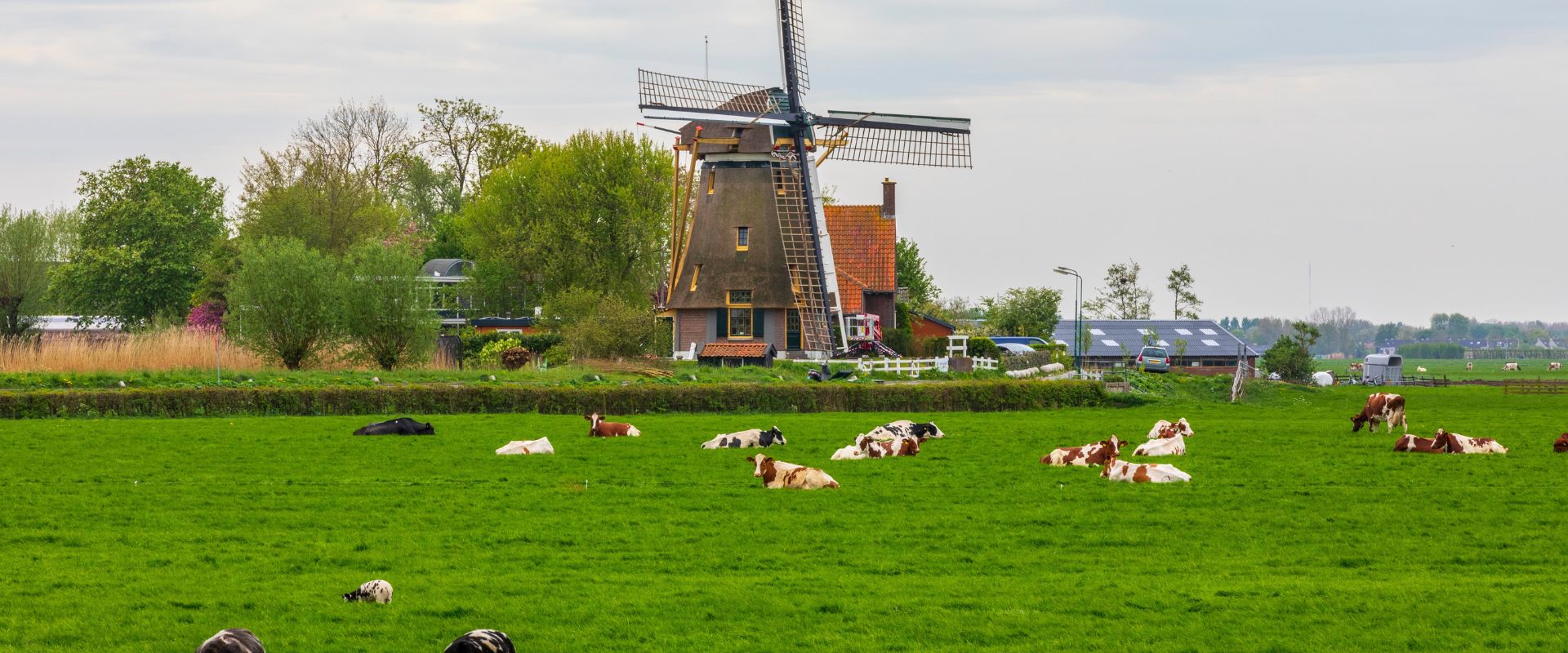 Nigtevecht