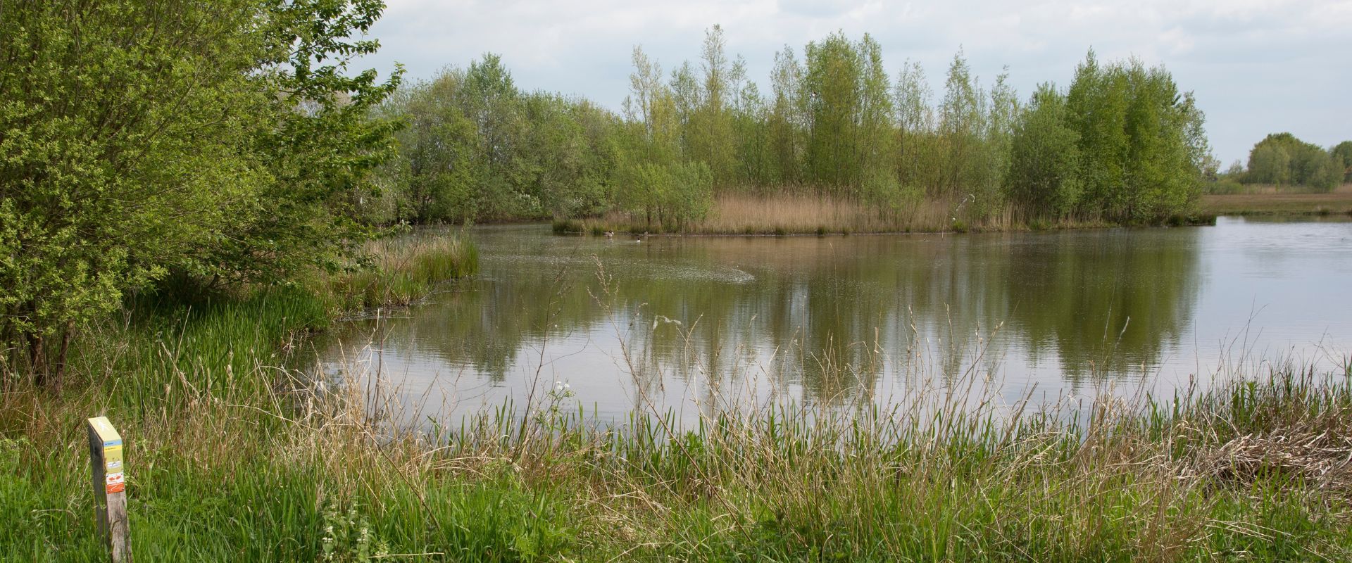 Stoutenburg