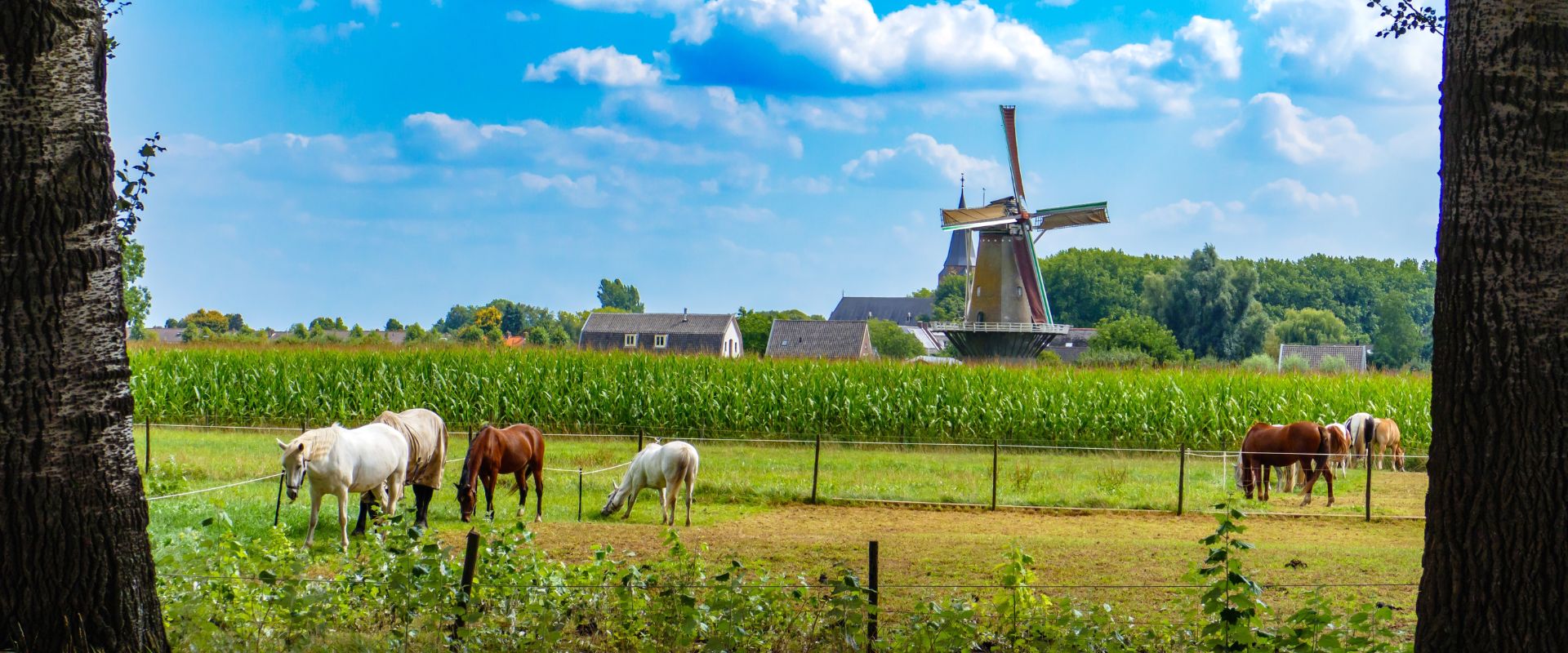 Werkhoven