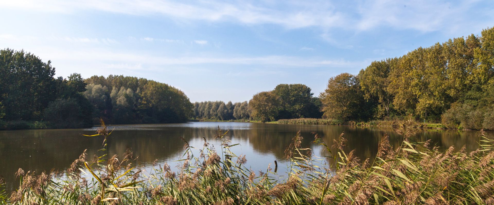 Bergschenhoek