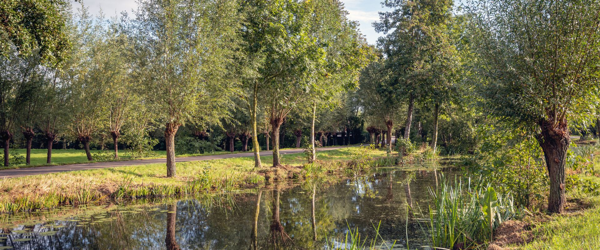 Goudriaan