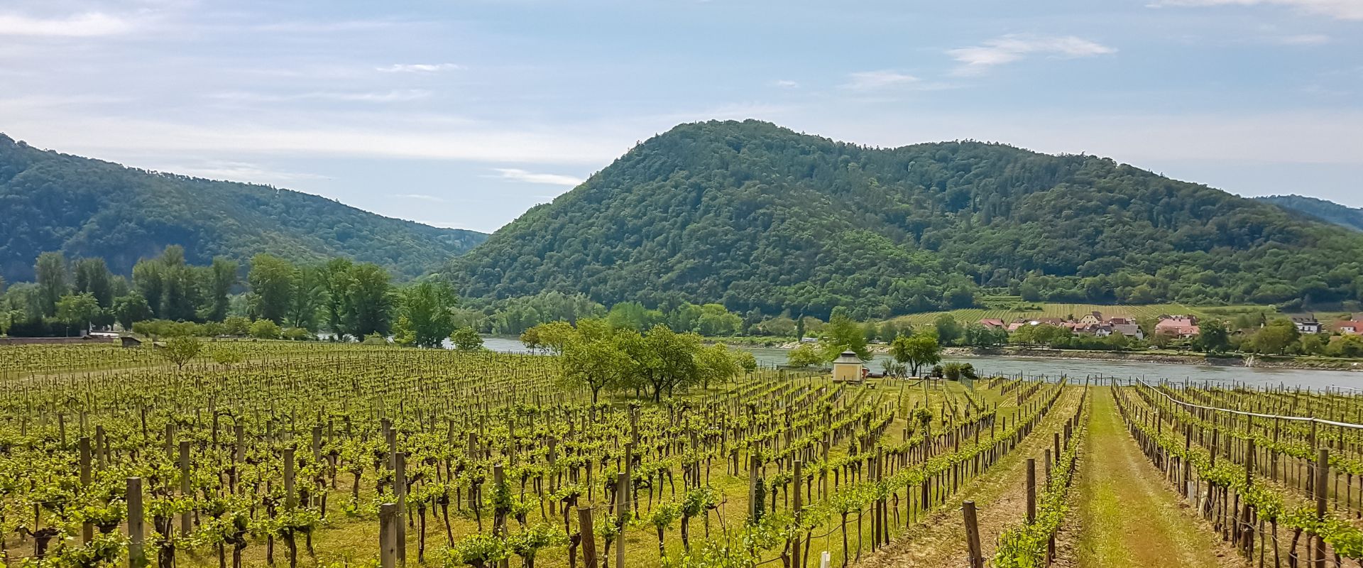 Lower Austria