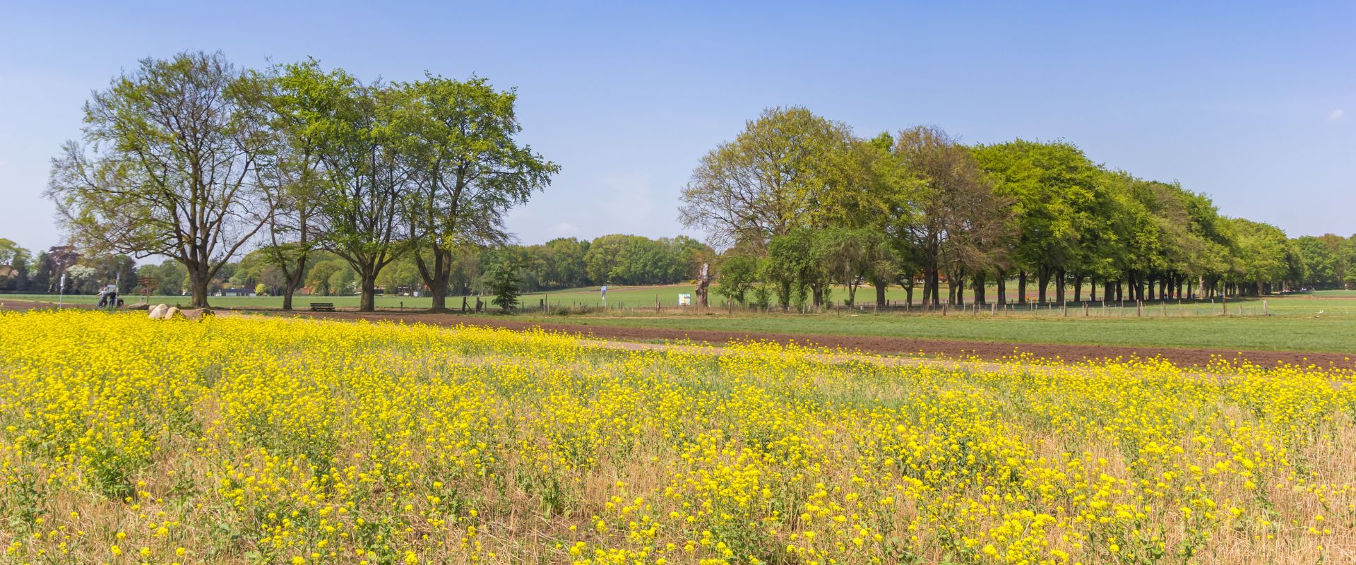 Holten