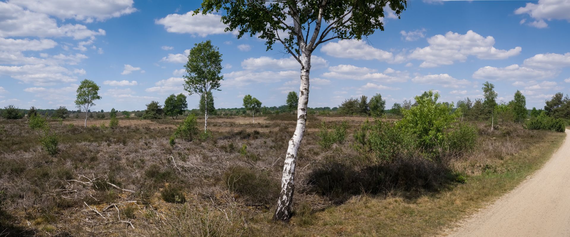 Nijverdal