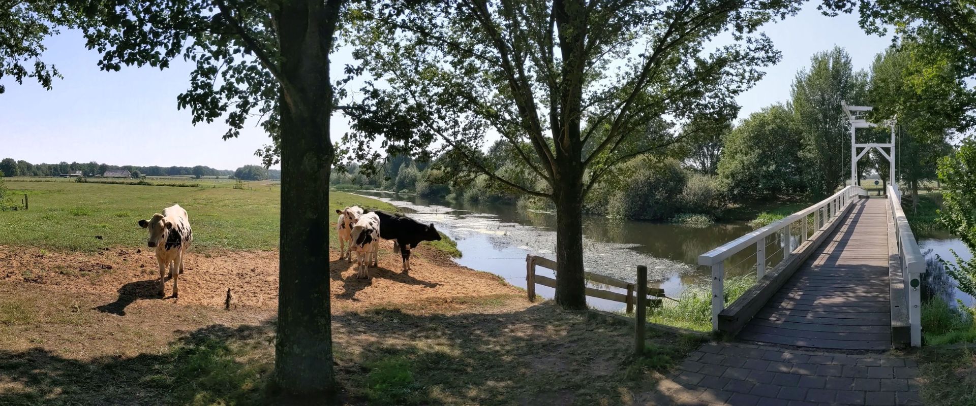 Ommen