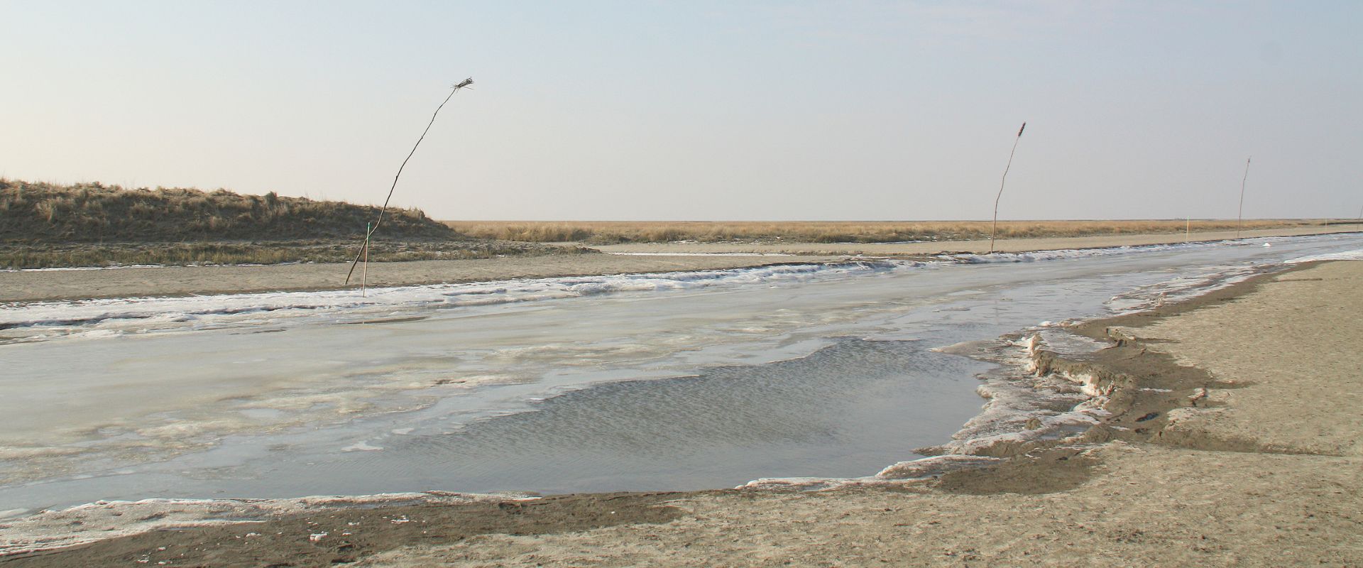 Niehove