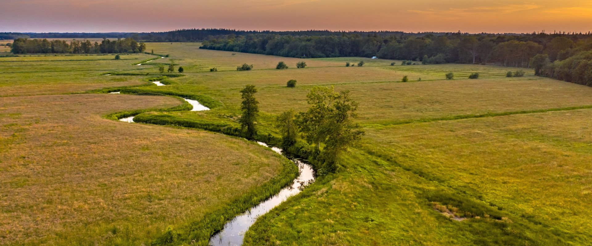 Beetsterzwaag