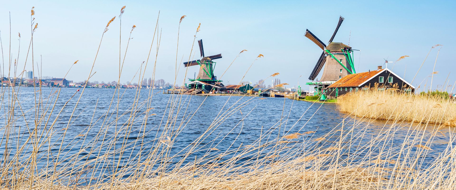 Zaandam